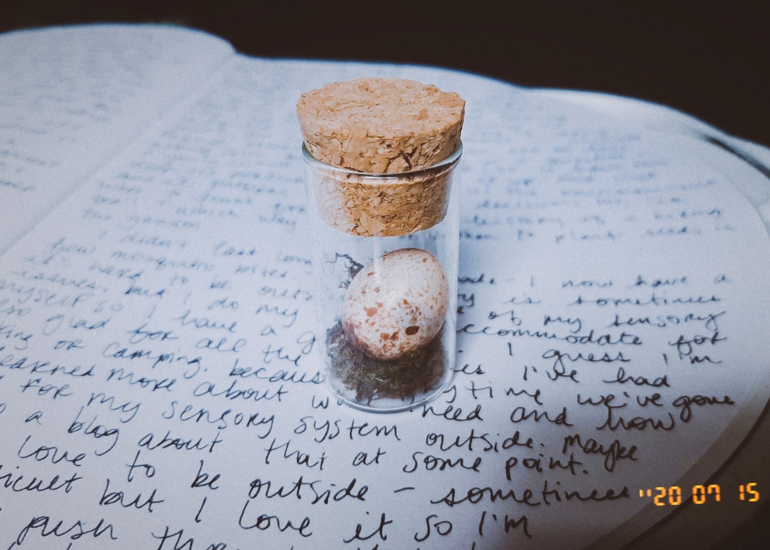A small glass jar with cork top resting on a notebook with cursive writing. Inside the jar is a small speckled bird egg resting on some moss. The content of the journal is the text in this blog post.